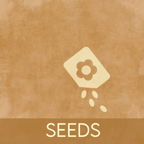 Gardener Gifts - Seeds