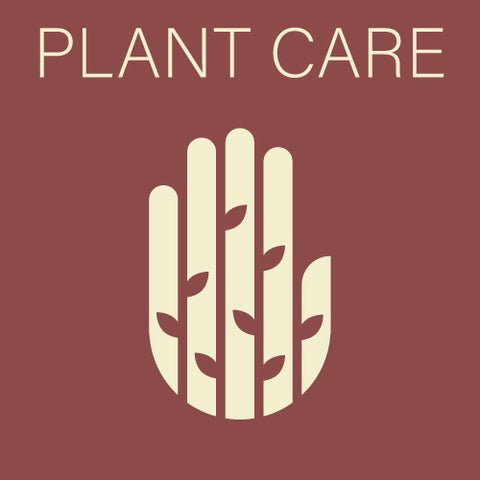 Plant Care - Indoors
