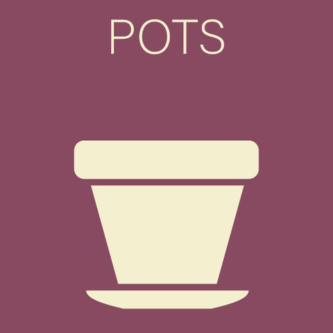 Pots - Indoors