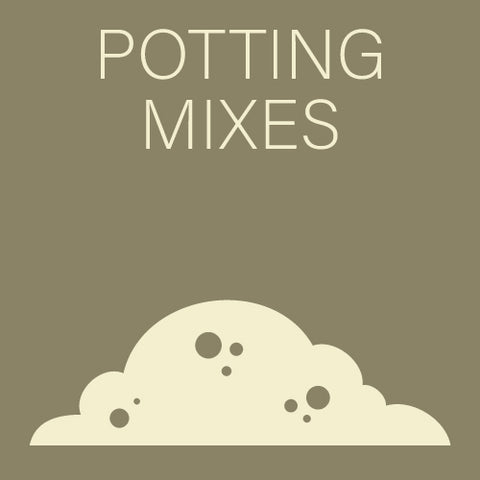 Potting Mixes - Indoors