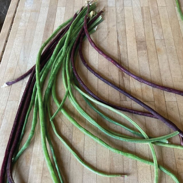 Bean (Pole), Yardlong Green and Red Mix (Certified Organic Seeds)