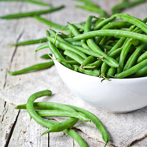 Bean (Bush), Tendergreen (Organically Grown Seeds)
