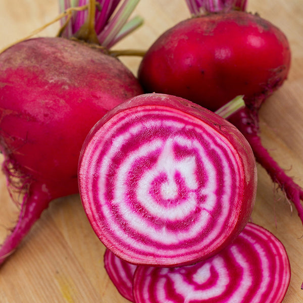Beet, Chioggia (Certified Organic Seeds)