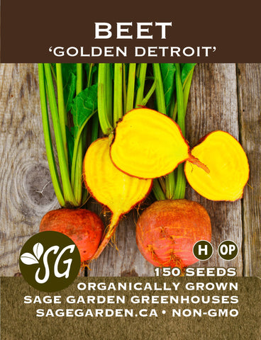 Seeds - Beet, Golden Detroit (SGH)