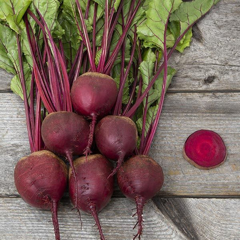 Beet, Red Ace F1 (Certified Organic Seeds)