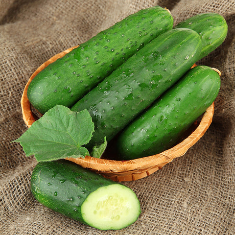 Cucumber, Spacemaster (Organically Grown Seeds)