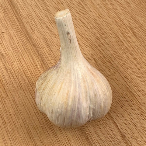 Bulbs - Garlic, Newfoundland OG - PREORDER 2023