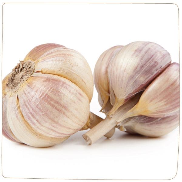 Bulbs - Garlic, Georgian Fire  (Certified Organic) - PREORDER