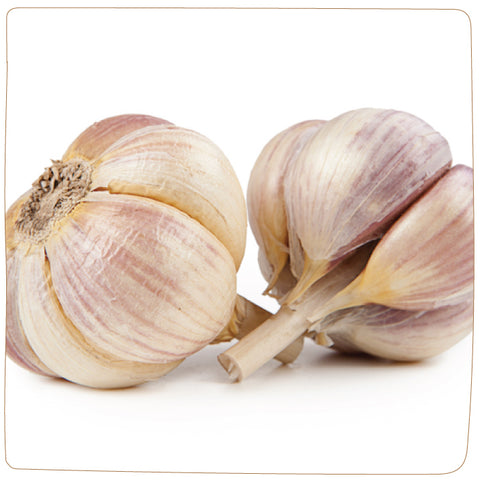 Bulbs - Garlic, Georgian Fire  (Certified Organic) - PREORDER