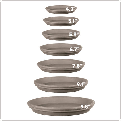 Clay Saucer - Graphite