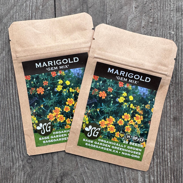 Seeds - Marigold, Gem Mix OG (SGH)