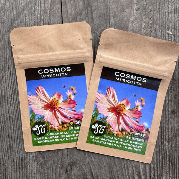 Cosmos, Apricotta (Organically Grown Seeds)