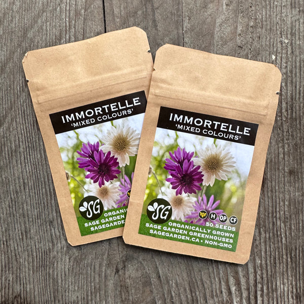 Immortelle 'Mixed Colors' (Organically Grown Seeds)