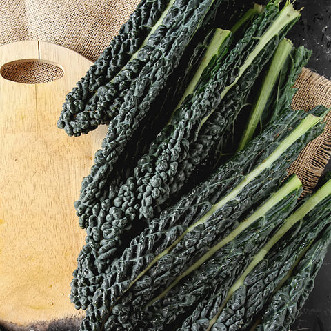 Kale, Black Magic (Organically Grown Seeds)
