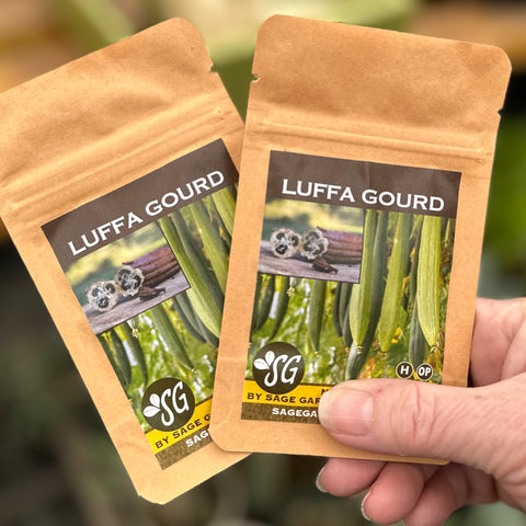 Luffa Gourd (Naturally Grown Seeds)