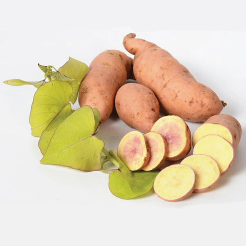 Sweet Potato, Makatea