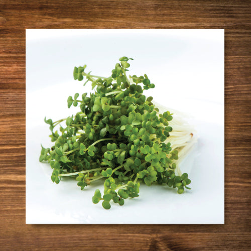 Mustard, Oriental Wasabi - Sprouting Seeds - Certified Organic