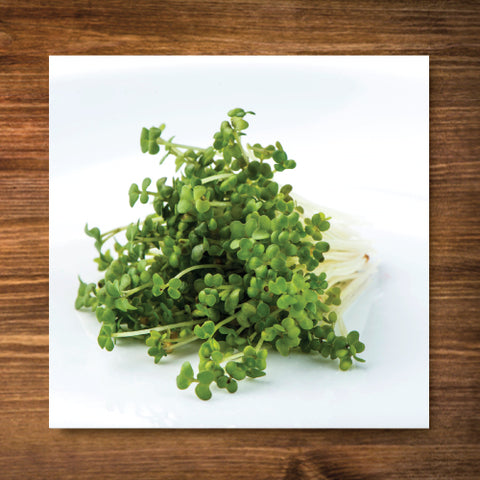 Mustard, Oriental Wasabi - Sprouting Seeds - Certified Organic