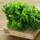 Parsley, Forest Green (Curled) (Organically Grown Seeds)