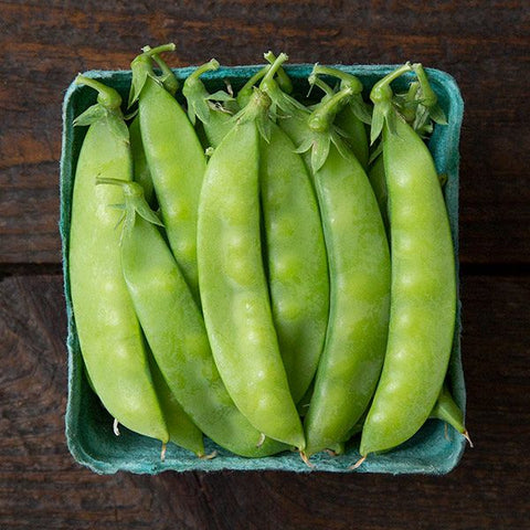 Pea (Snow), Blizzard Snow (Certified Organic Seeds)