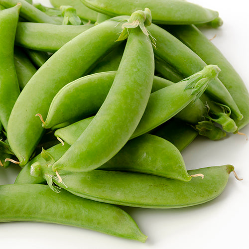 Pea (Snap), Sugar Ann (Organically Grown Seeds)