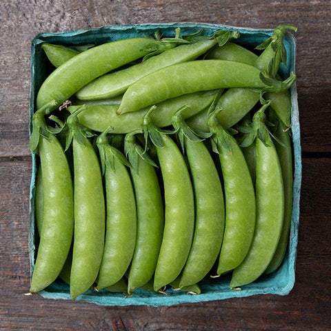 Pea (Snap), Sweet Gem (Certified Organic Seeds)