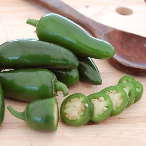 Organic Early Jalapeno
