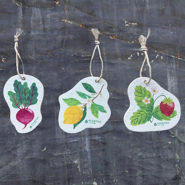 Compostable Pop-up Sponges - Farm to Kitchen - Set of 3