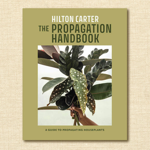 The Propagation Handbook: A Guide to Propagating Houseplants