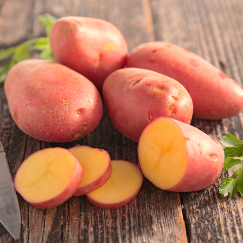 Seed Potato - Red Gold (Certified Organic)