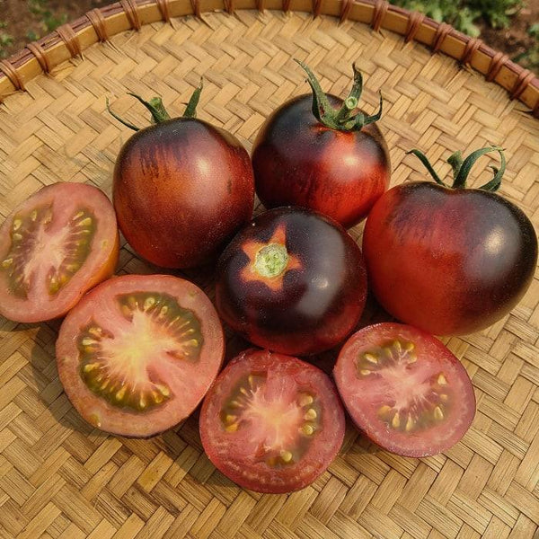 Tomato (Regular), Cascade Village Blue (Organically Grown Seeds)