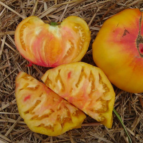 Tomato (Regular), Pineapple OG (Organically Grown Seeds)