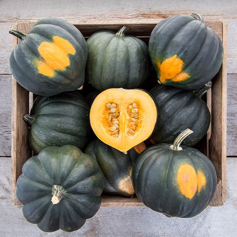 Squash (Winter), Sweet REBA Acorn (Certified Organic Seeds)