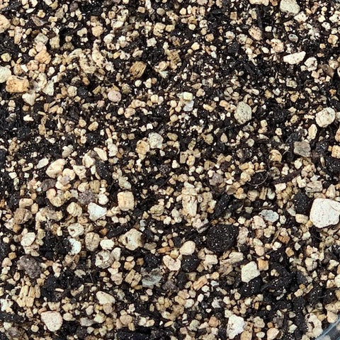 Soil in a box! - 15 L Cactus and Succulent Mix