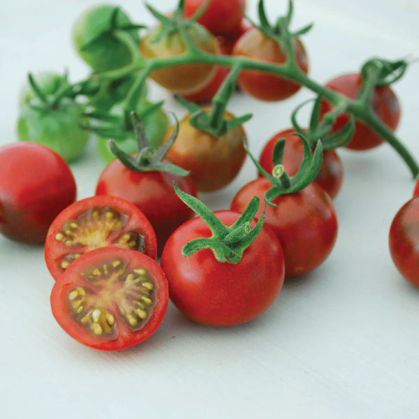 Tomato (Cherry), Rosella (Organically Grown Seeds)