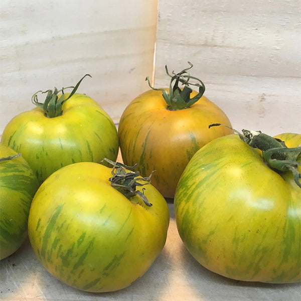 Tomato (Regular), Green Zebra (Certified Organic Seeds)