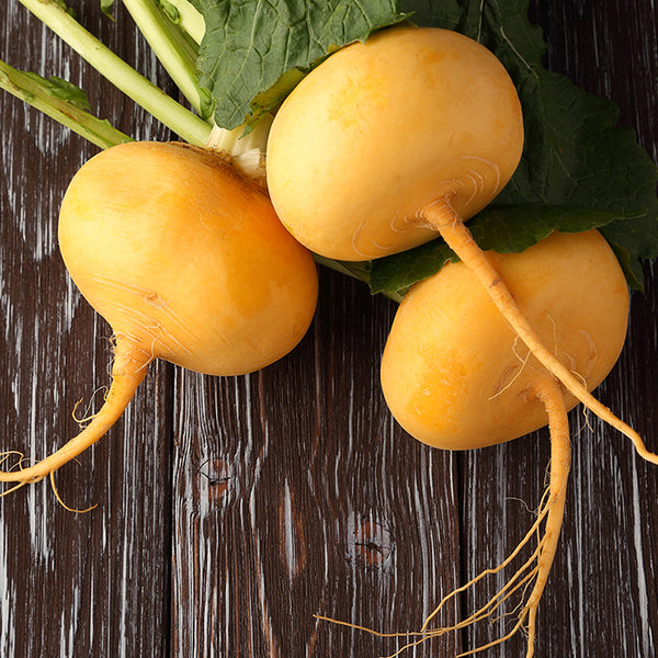Turnip, Goldie (Organically Grown Seeds)