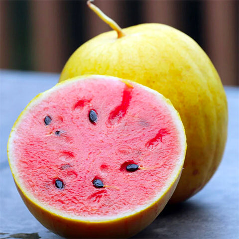 Watermelon, Golden Midget (Organically Grown Seeds)