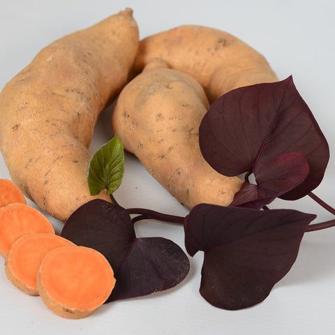 Sweet Potato, Kaukura