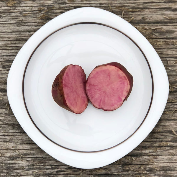 Seed Potato - All Red (Certified Organic)