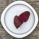 Seed Potato - Amarosa Fingerling (Certified Organic)