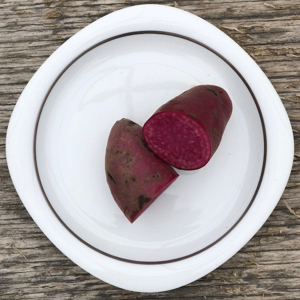 Seed Potato - Amarosa Fingerling (Certified Organic)