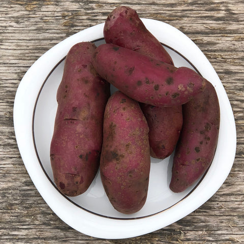 Seed Potato - Amarosa Fingerling (Certified Organic)