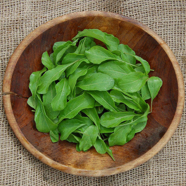 Organic Astro Arugula