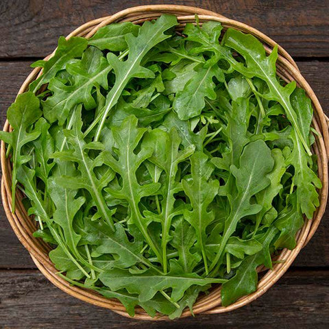 Arugula, Bellezia (Certified Organic Seeds)