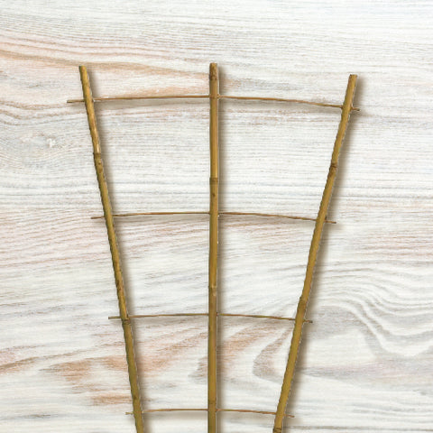 Bamboo Fan Trellis