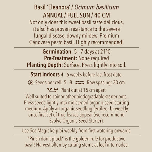 Basil, Eleonora (Organically Grown Seeds)