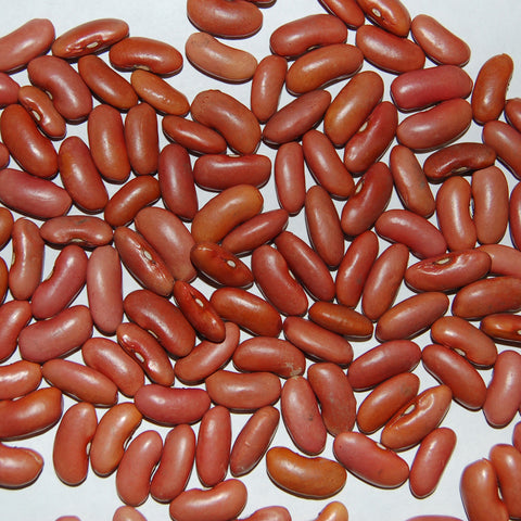 Organic Light Red Kidney Bean
