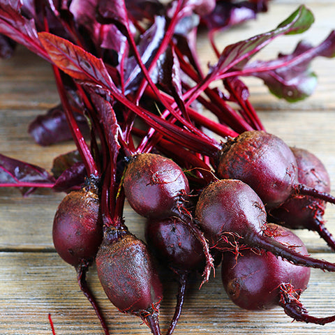 Beet, Bull's Blood (Organically Grown Seeds)