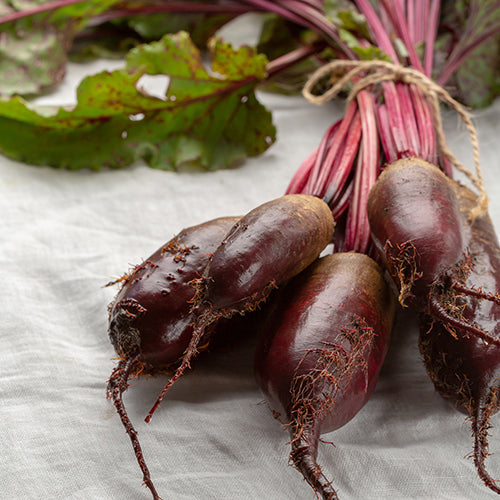 Beet, Cylindra (Organically Grown Seeds) (SGH)